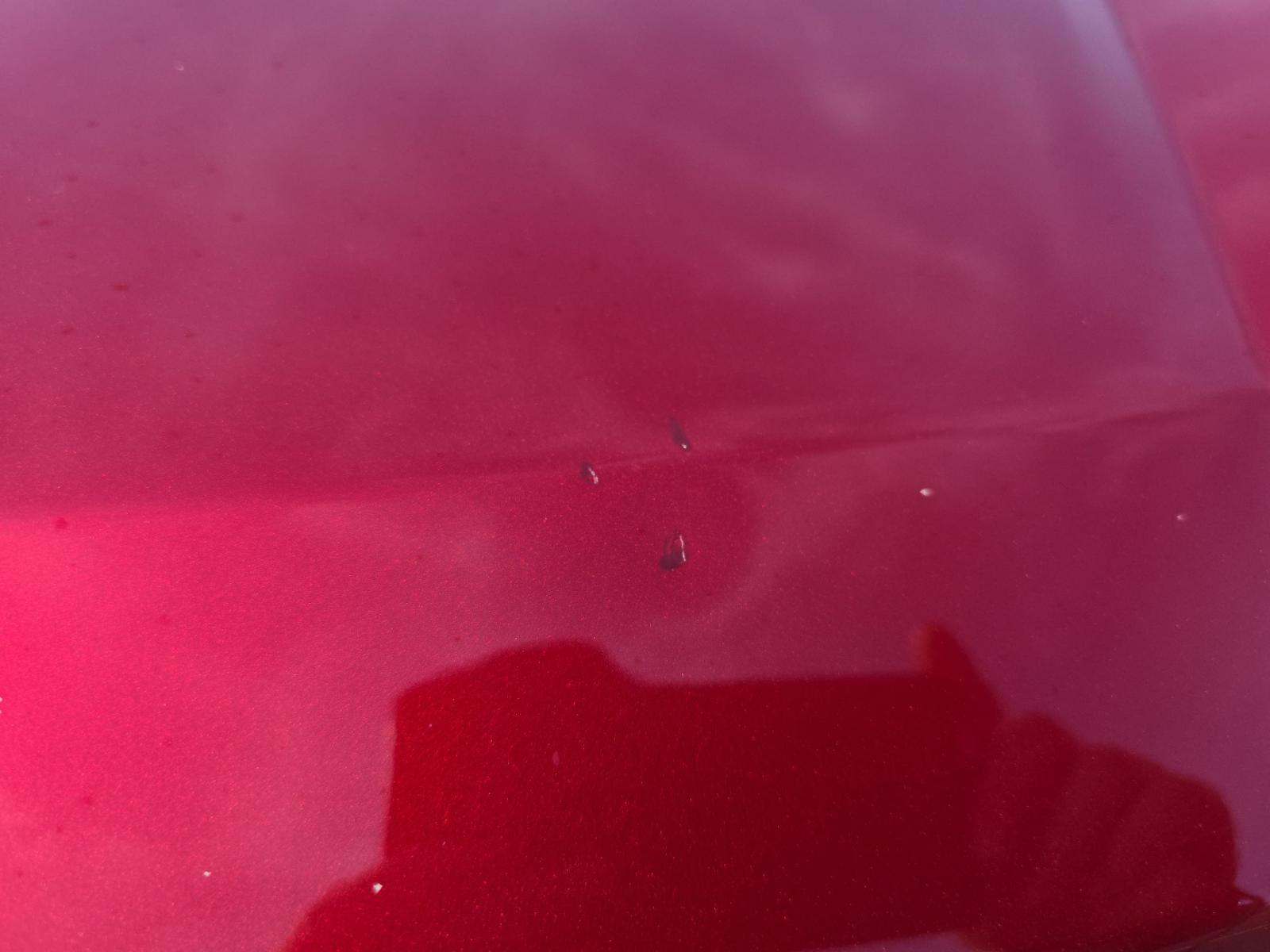 2019 Ford F-150 XLT AWD