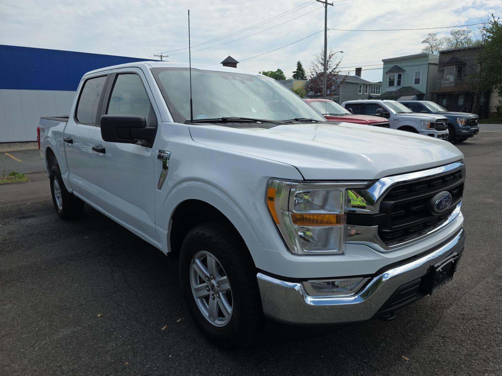 FORD F-150 - 4