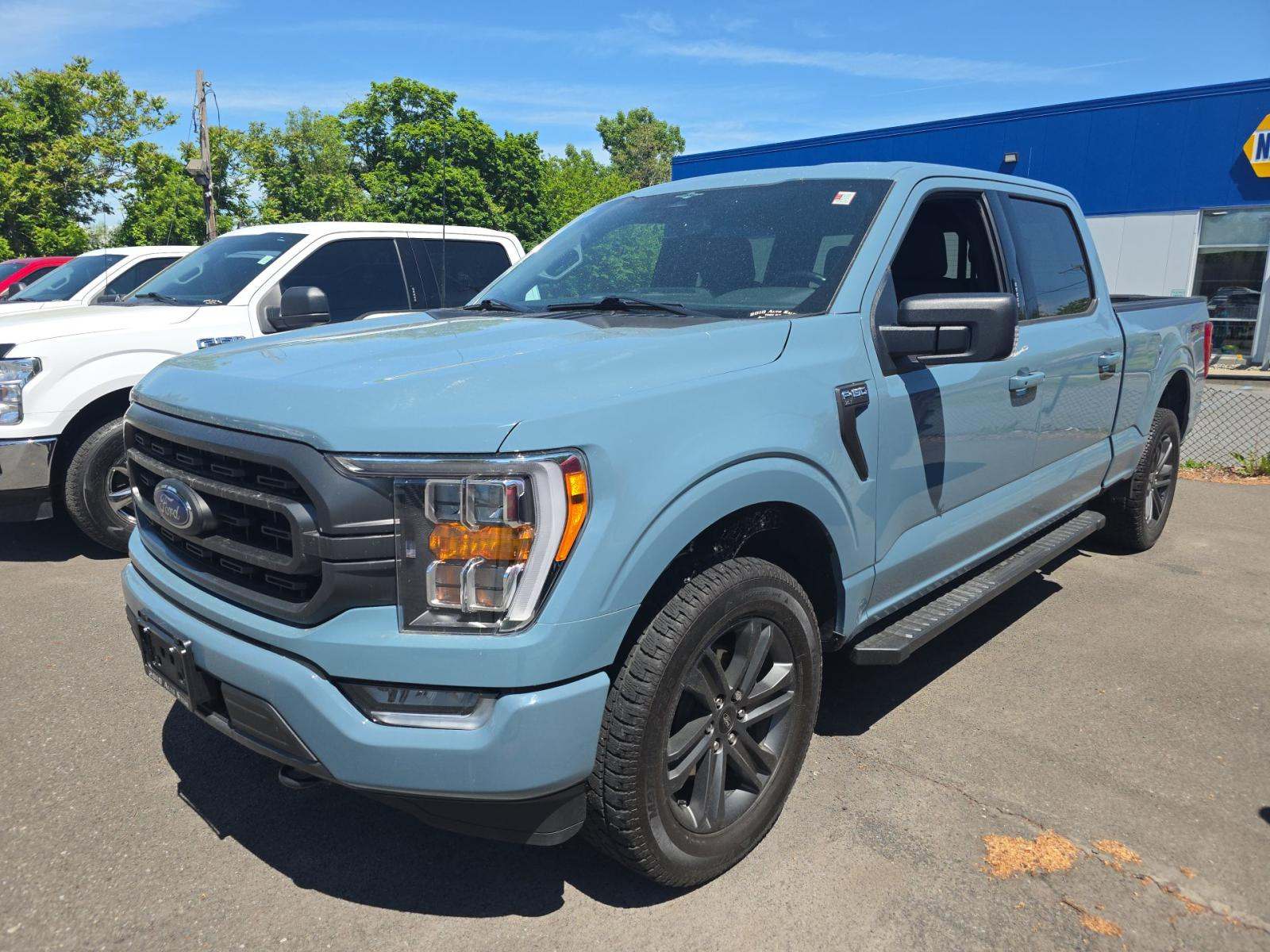 FORD F-150 - 1