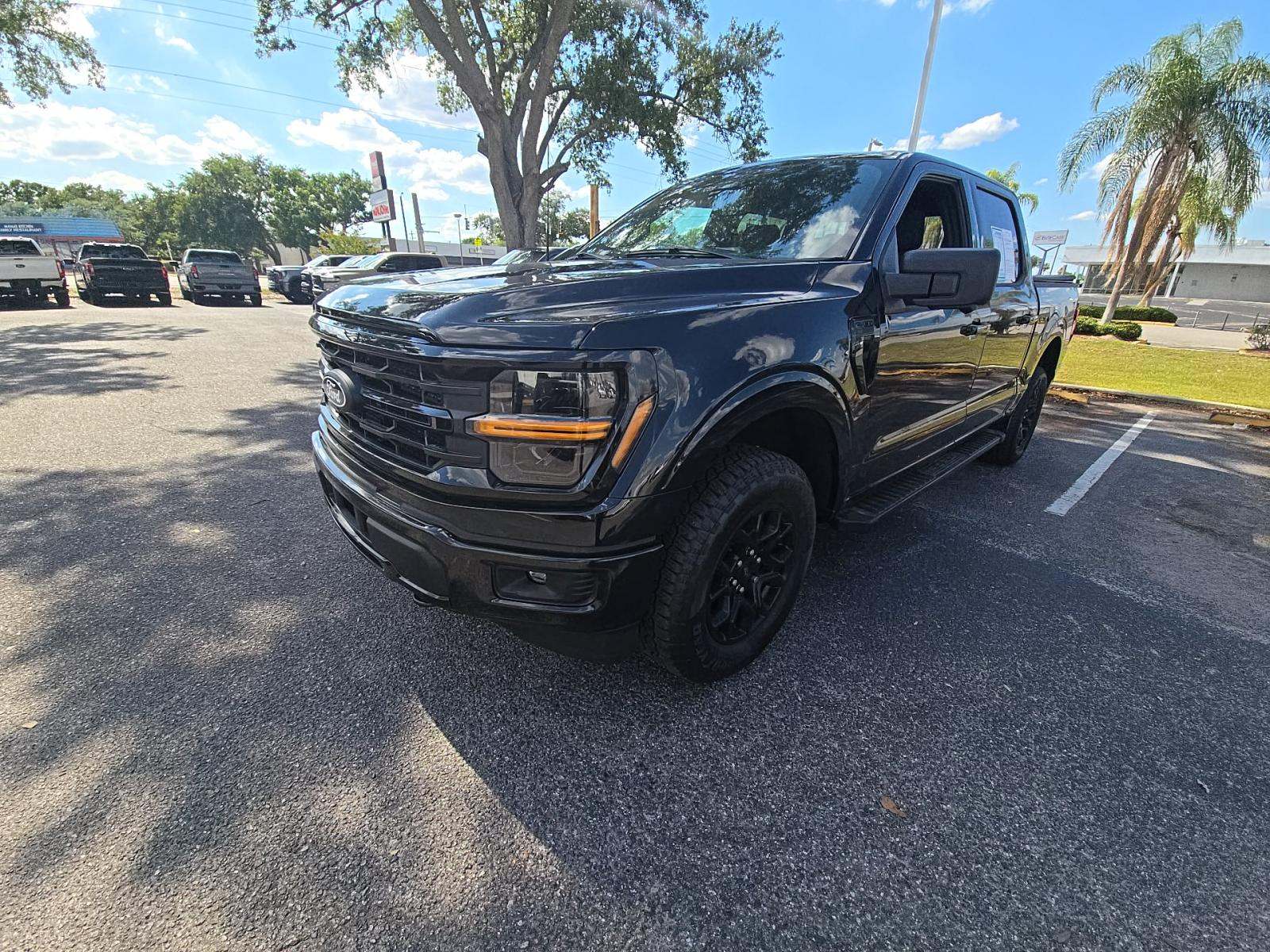 FORD F-150 - 1