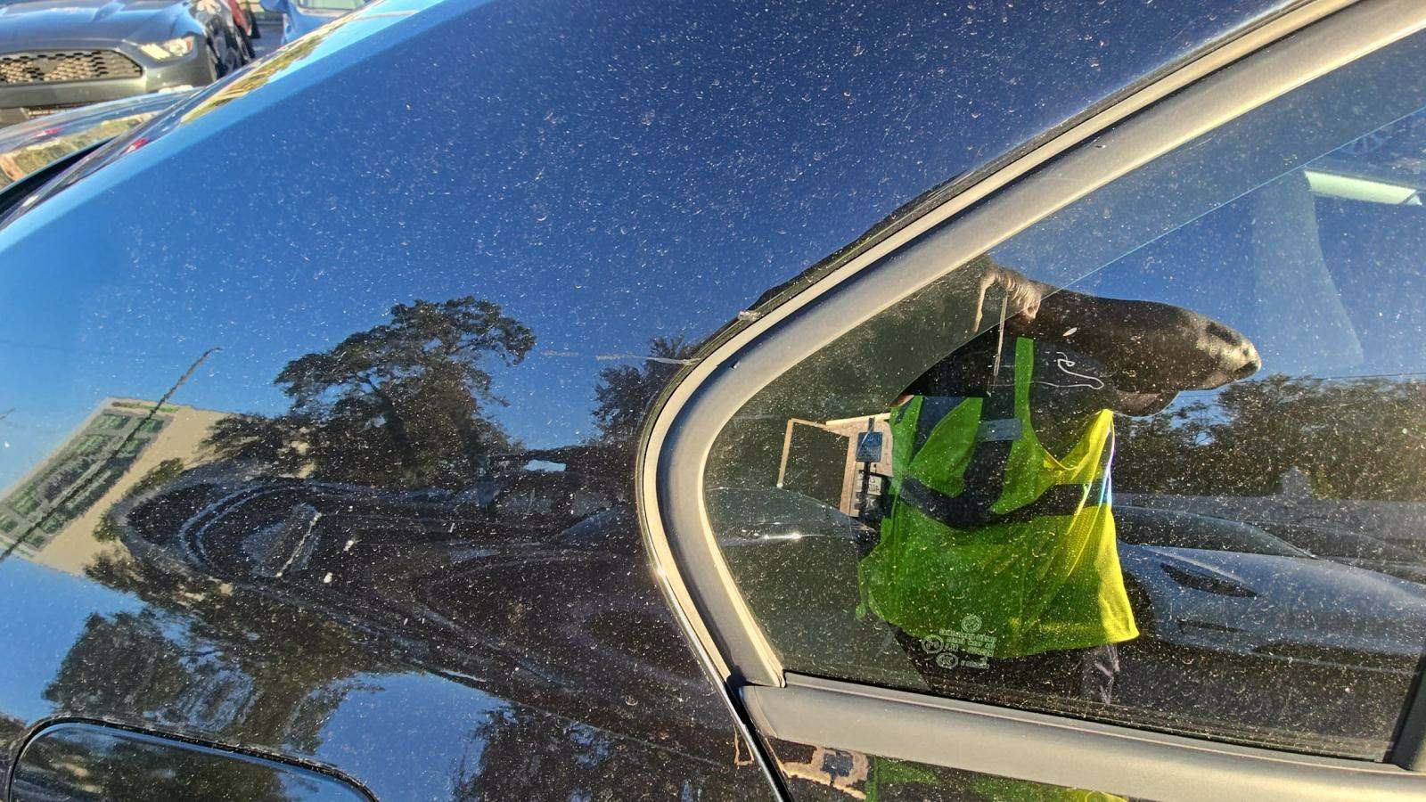 2015 Volkswagen Jetta 1.8T SE FWD