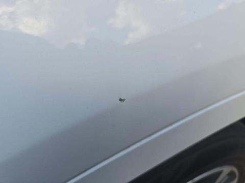 2019 BMW X6 xDrive35i AWD