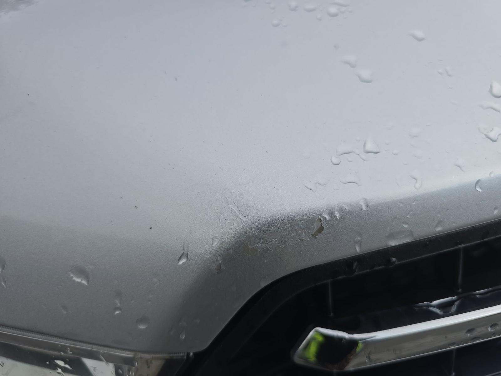 2019 Ford F-150 XLT RWD