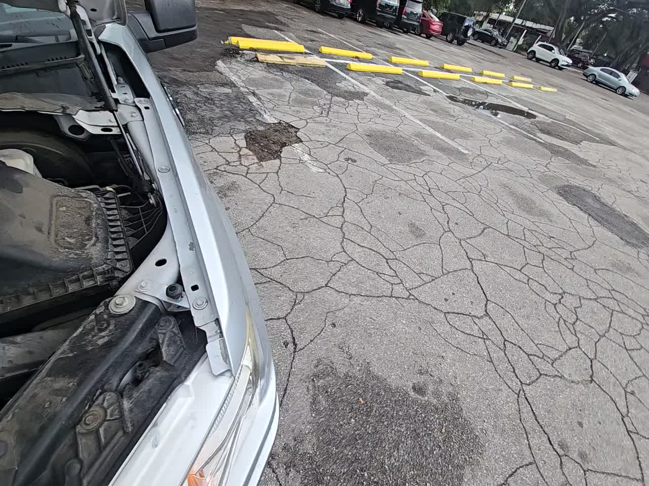 2019 Ford F-150 XLT RWD