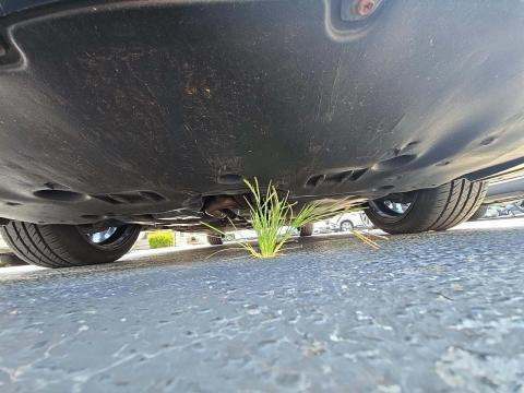 2019 Toyota Avalon XSE FWD