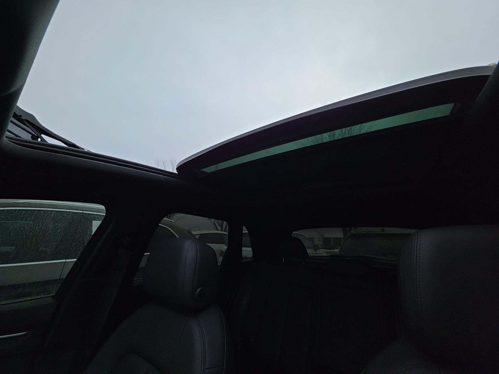 2023 Audi Q3 S line Premium Plus AWD