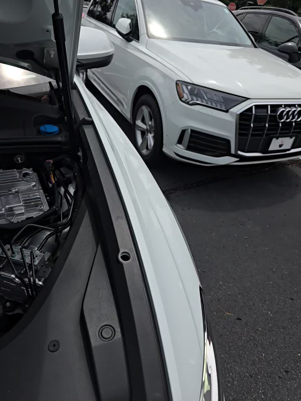 2023 Audi Q8 Premium Plus AWD