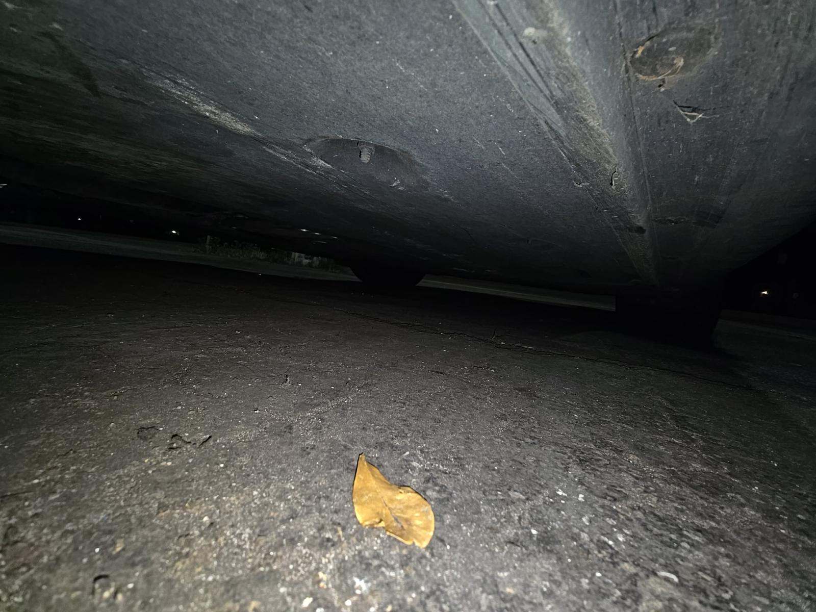 2023 Porsche Panamera Platinum Edition RWD