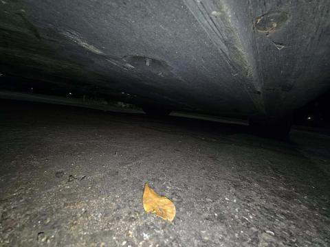 2023 Porsche Panamera Platinum Edition RWD