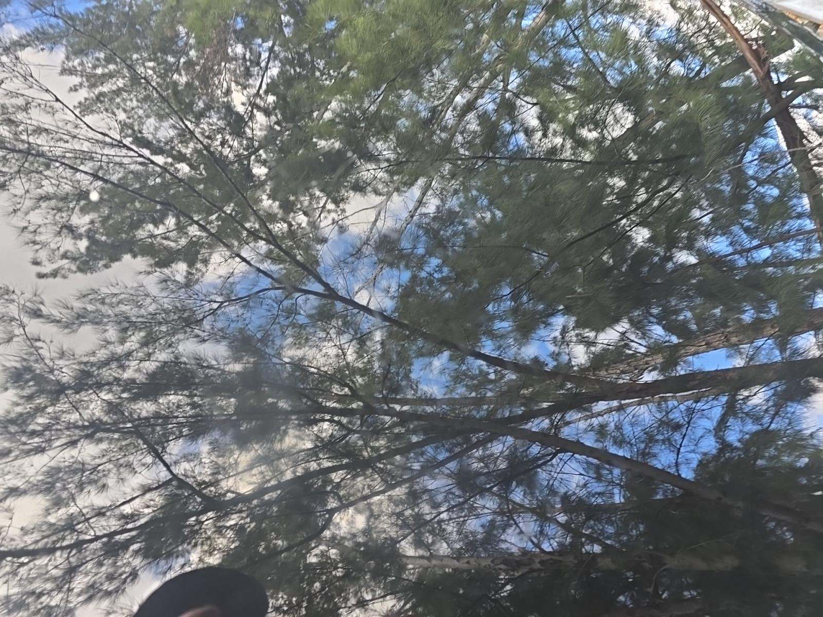 2023 Volvo S90 B6 Plus AWD