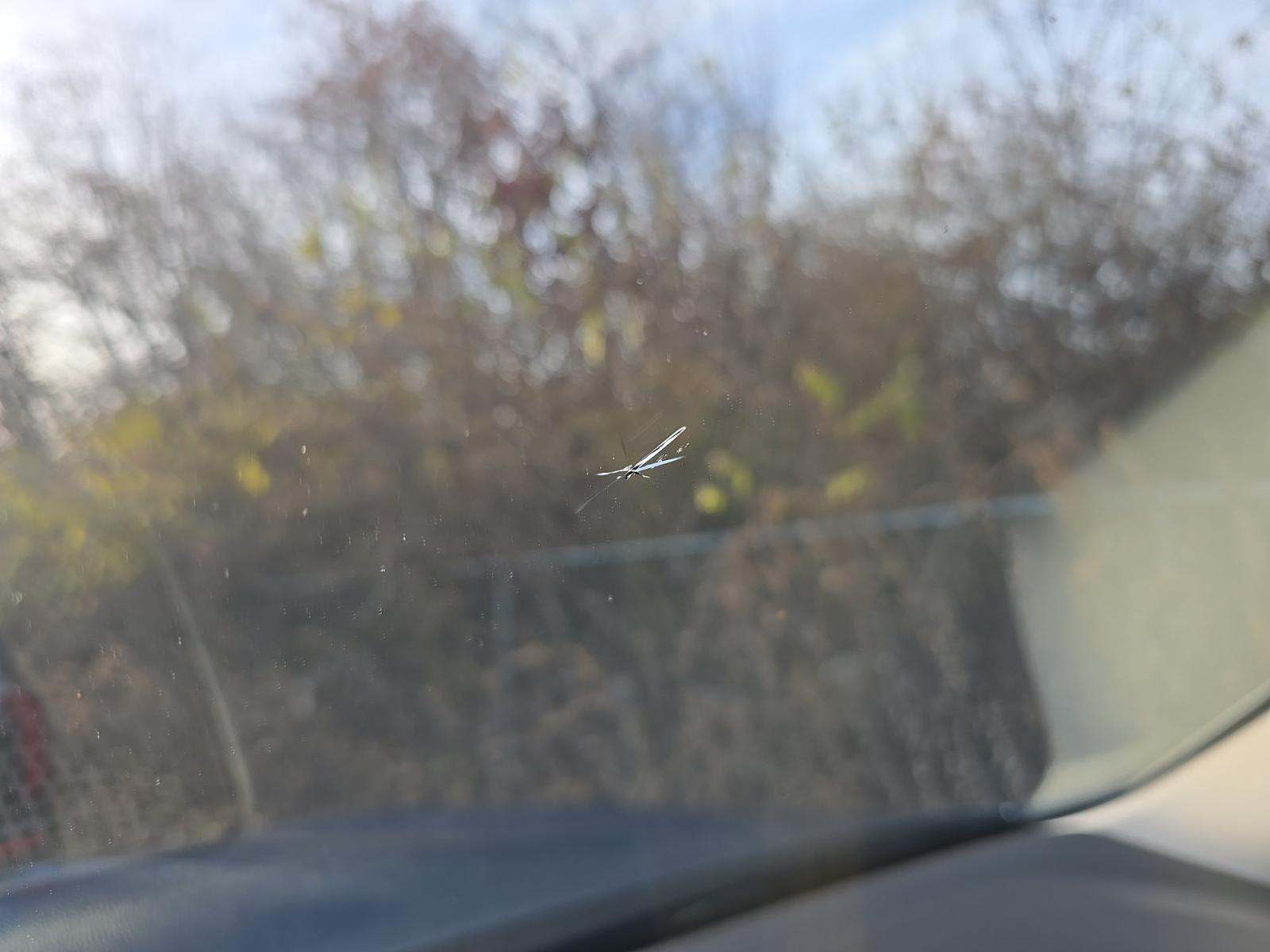 2019 BMW X7 xDrive40i AWD