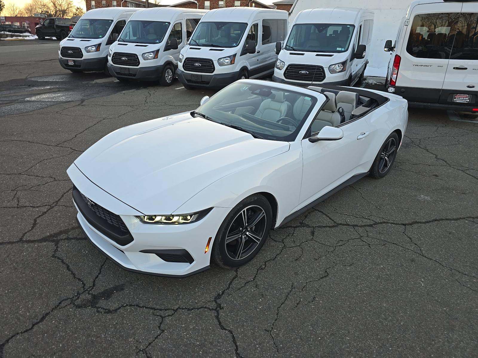 2024 Ford Mustang EcoBoost Premium RWD