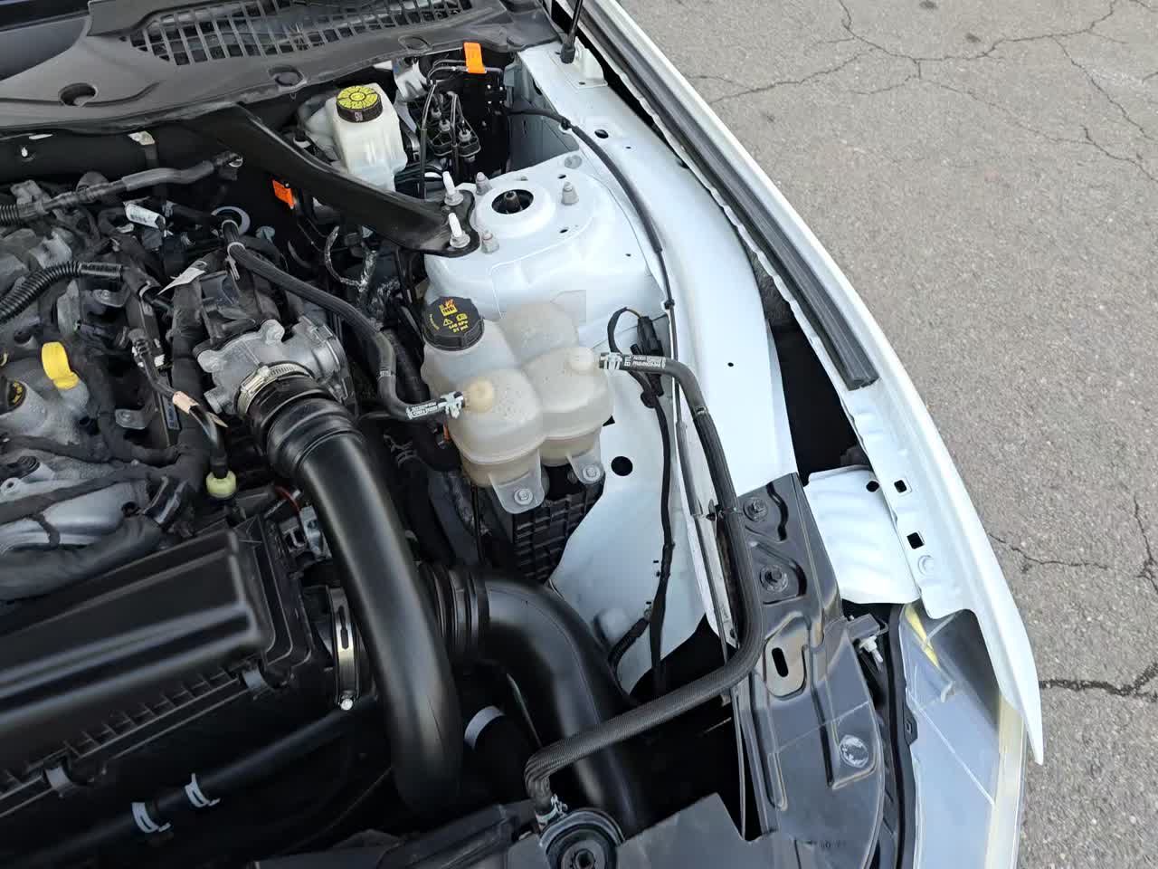 2024 Ford Mustang EcoBoost Premium RWD