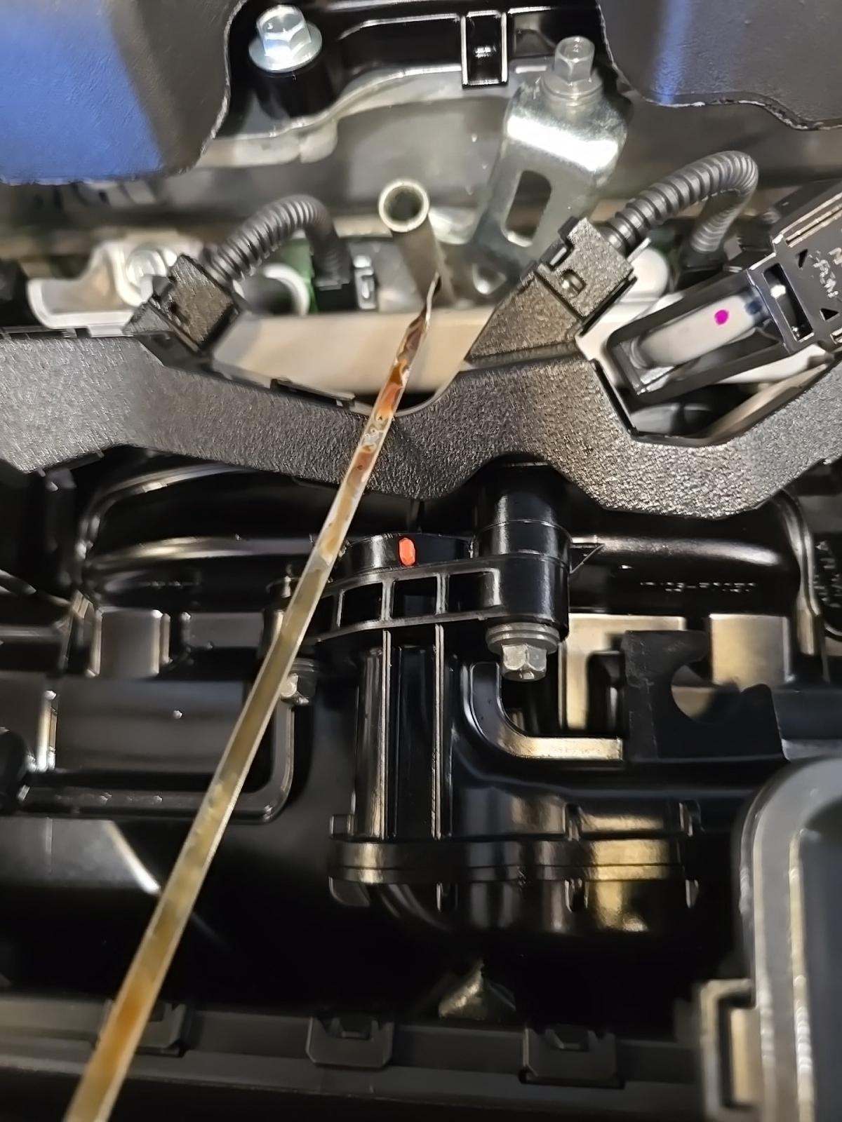 2025 Toyota RAV4 XLE AWD