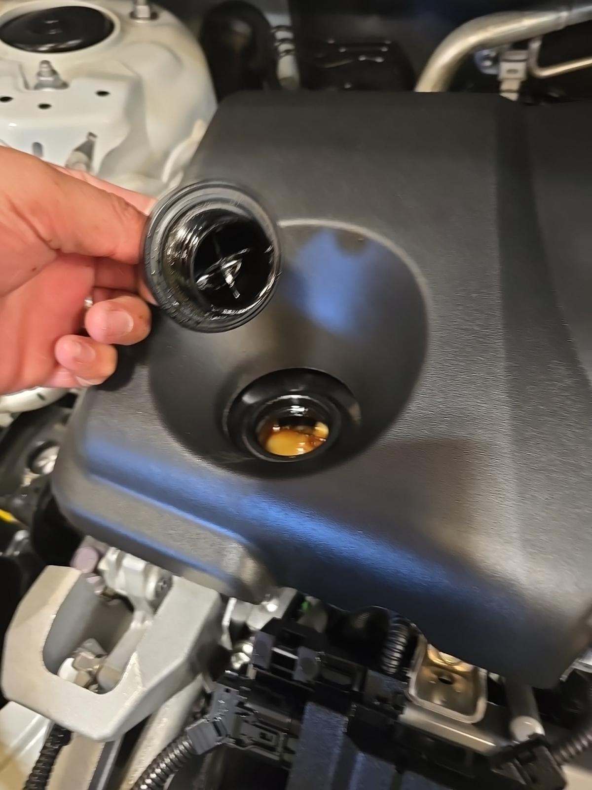 2025 Toyota RAV4 XLE AWD