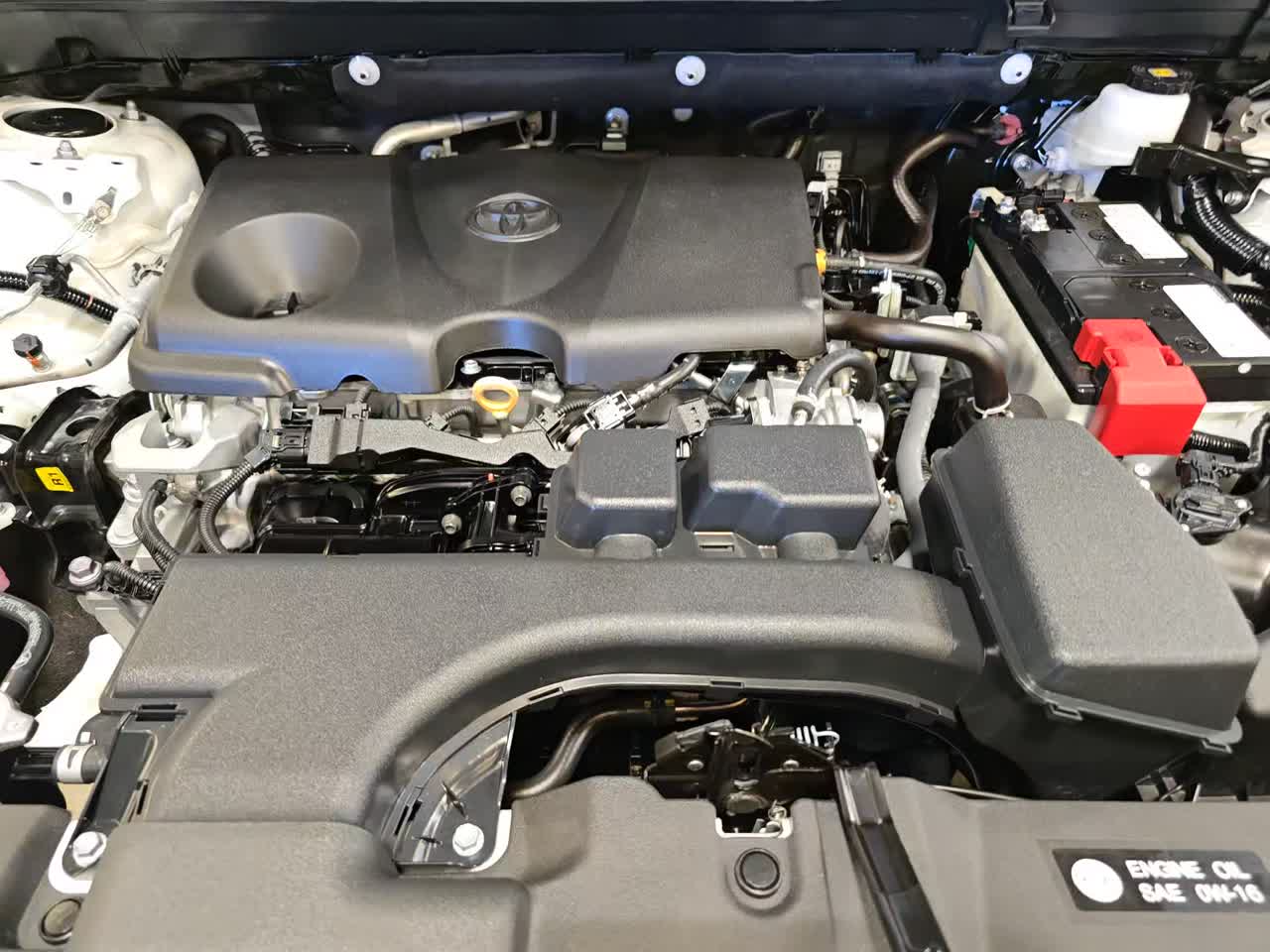 2025 Toyota RAV4 XLE AWD