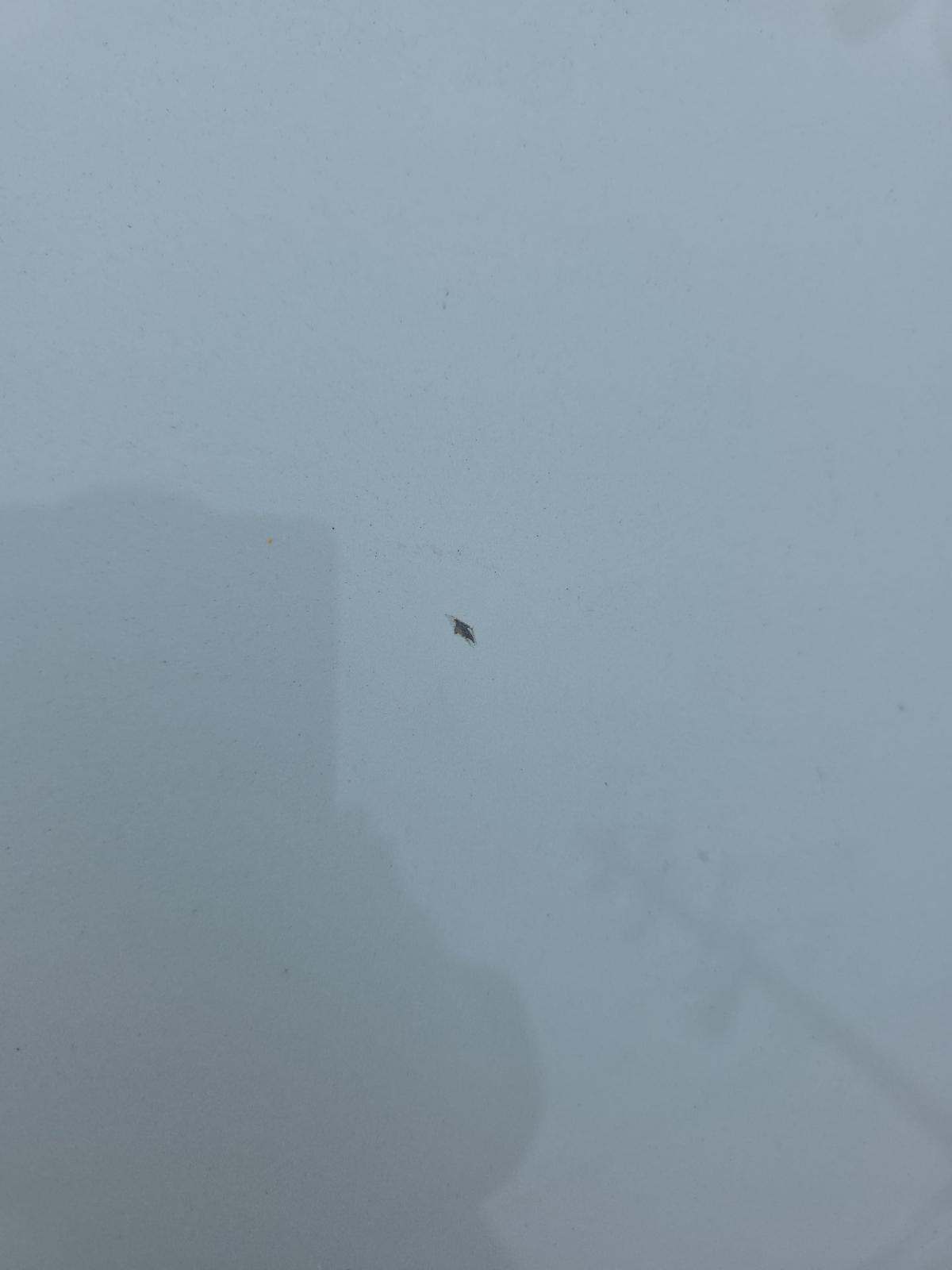 2024 Volkswagen Jetta 1.5T SE FWD