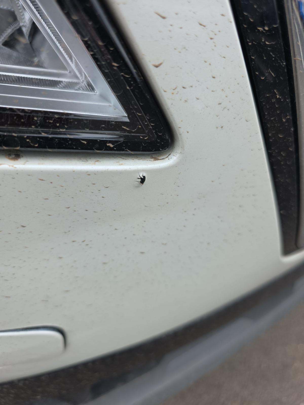 2023 Nissan Rogue SV AWD