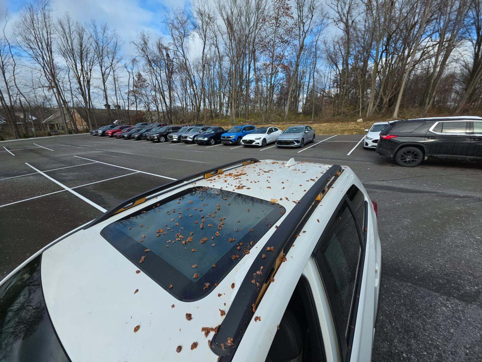 2022 Subaru Forester Wilderness AWD