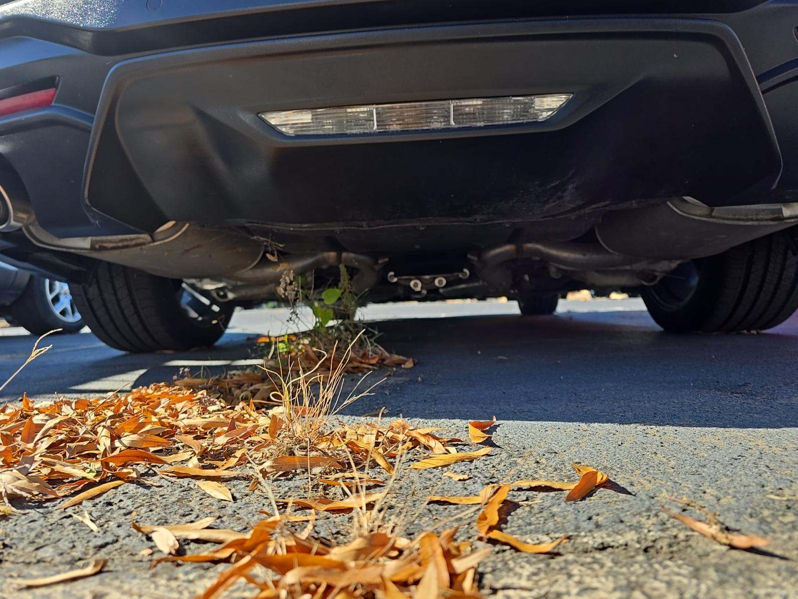 2024 Ford Mustang EcoBoost RWD