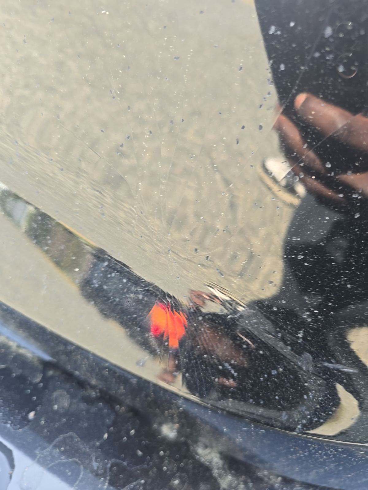 2019 Chevrolet Corvette Stingray RWD