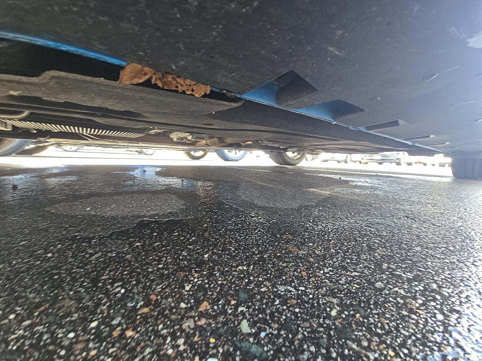 2024 Ford Mustang EcoBoost RWD