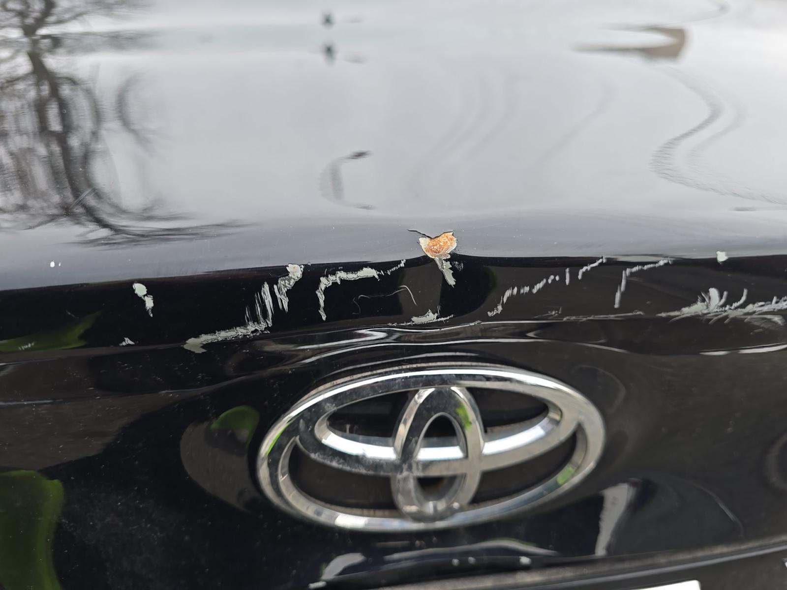 2022 Toyota Camry LE AWD