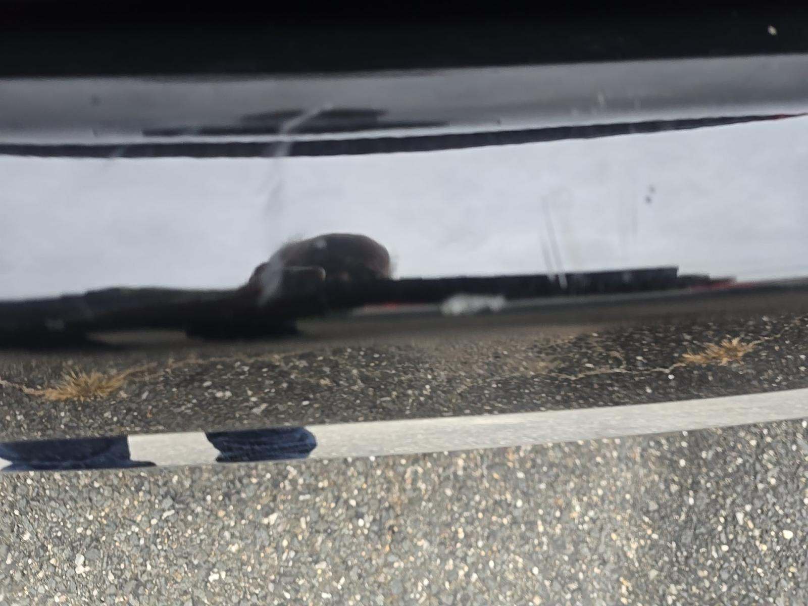 2025 Chrysler Pacifica Hybrid Select FWD