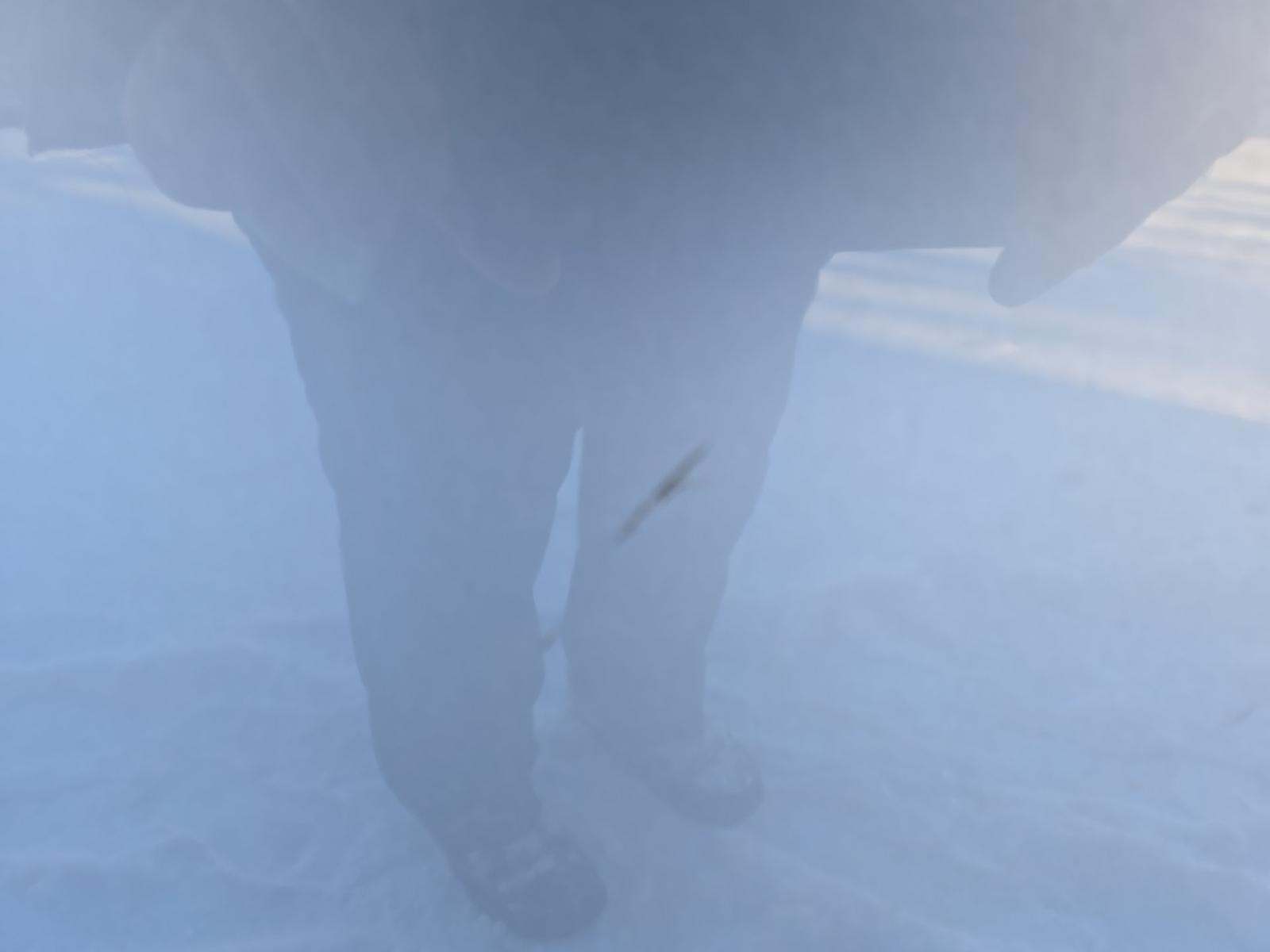 2023 Honda Odyssey EX-L FWD