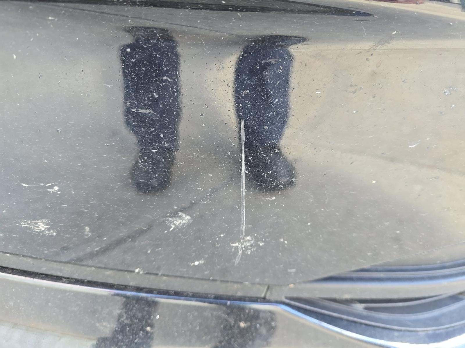 2023 Honda Odyssey Sport FWD