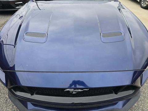 2019 Ford Mustang GT Premium RWD