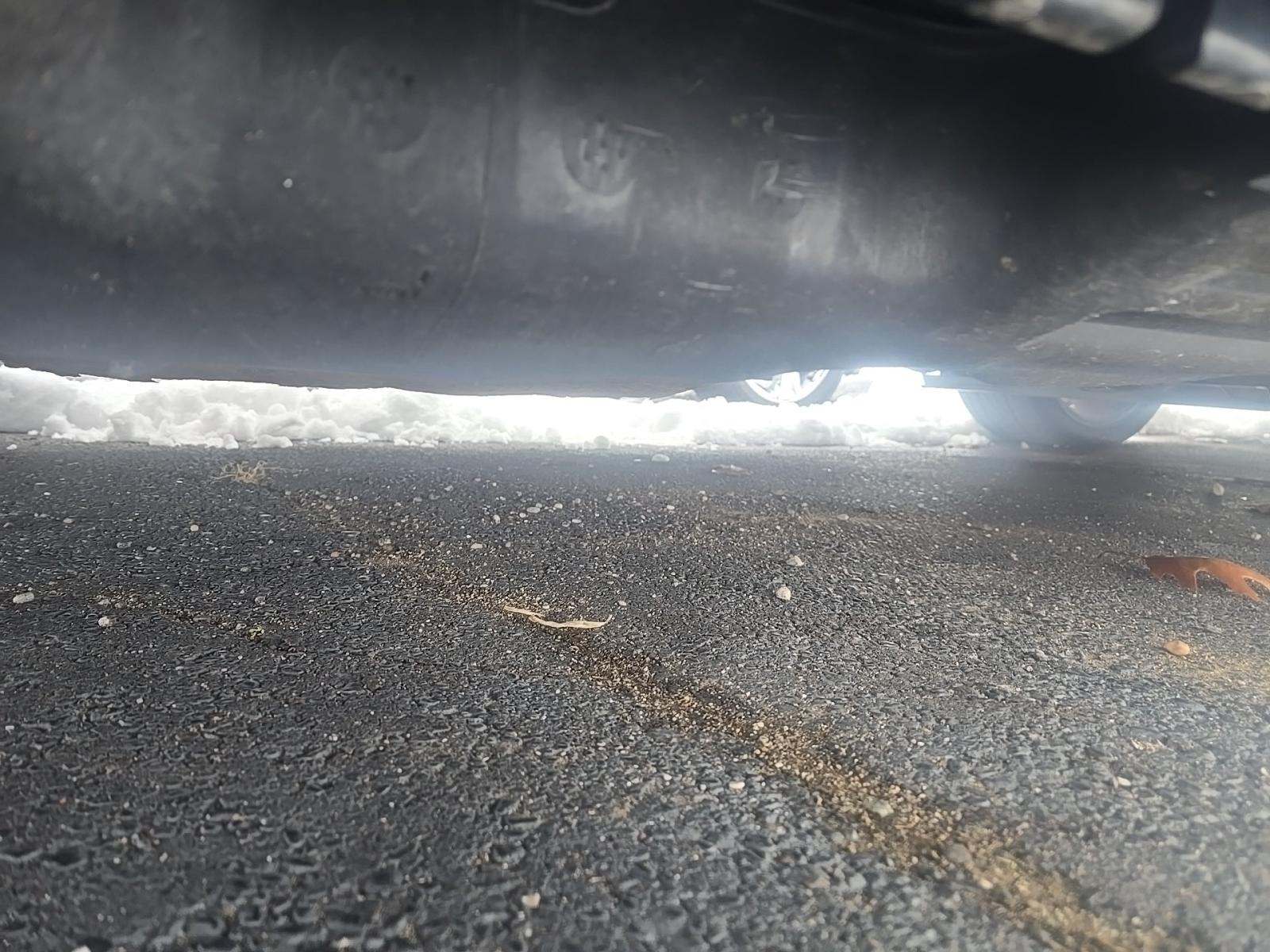 2019 Land Rover Range Rover Supercharged AWD