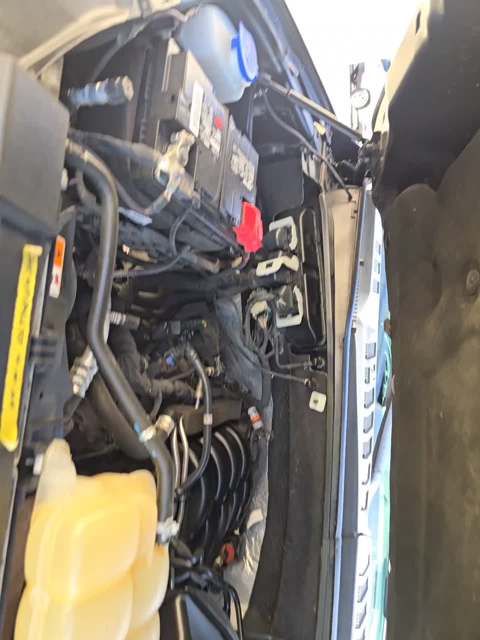 2019 Ford F-150 XLT AWD