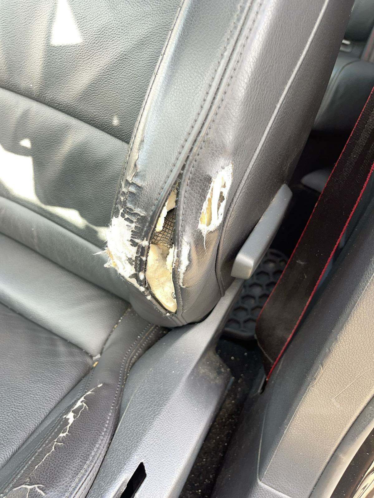 2014 Volkswagen Golf Wolfsburg FWD