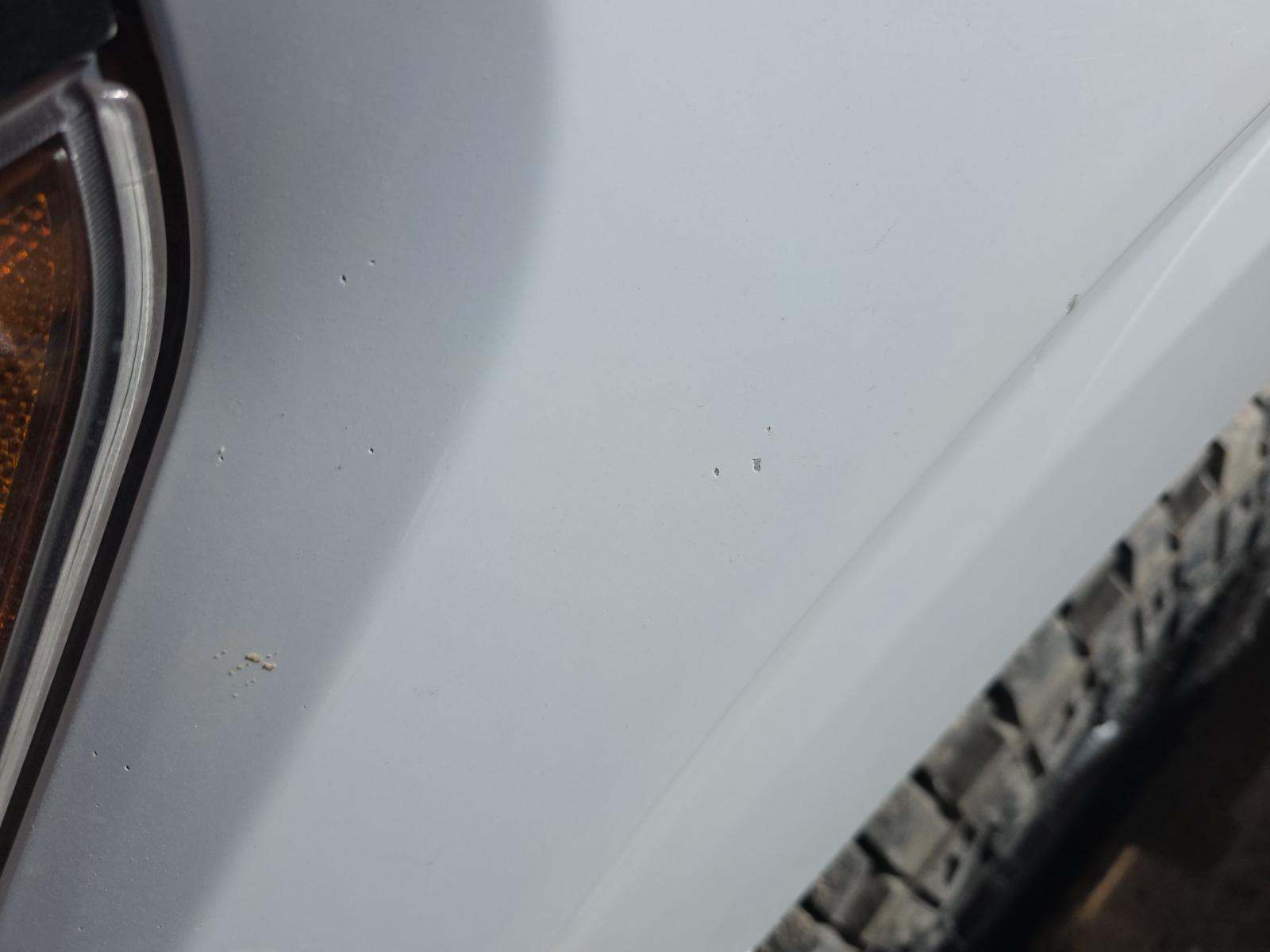 2024 Ford F-150 XLT AWD