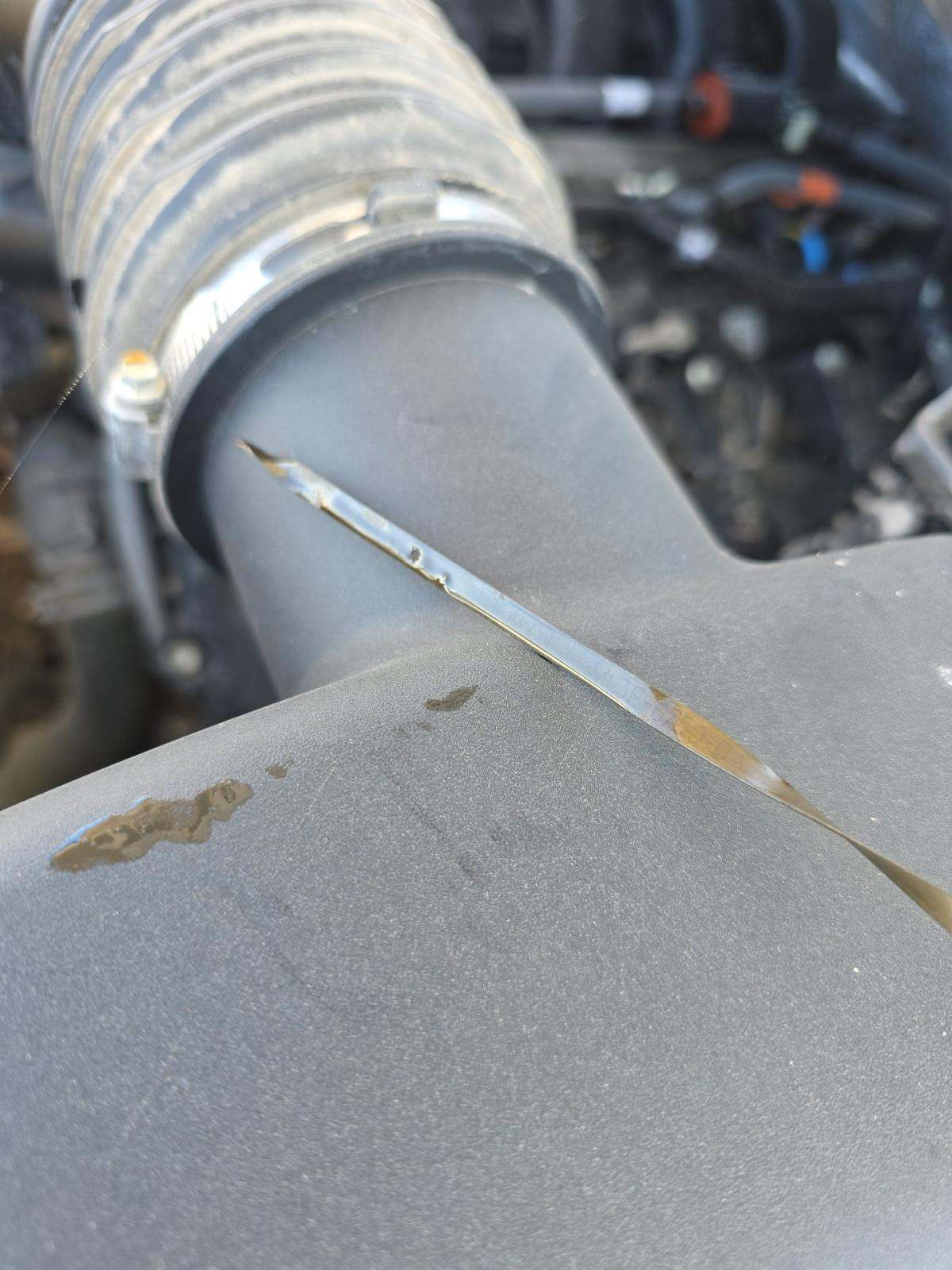 2024 Ford F-150 STX AWD