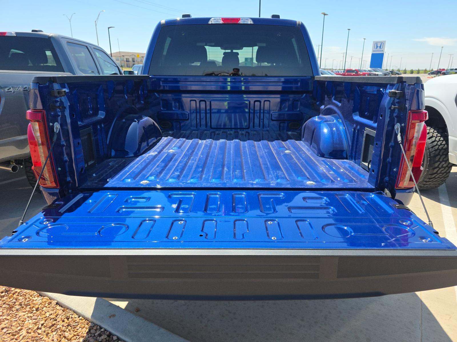 FORD F-150 - 10