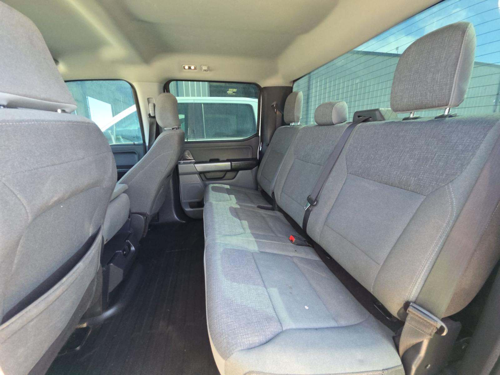 2024 Ford F-150 XLT AWD