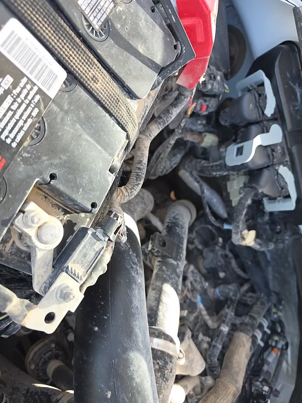 2024 Ford F-150 XLT AWD