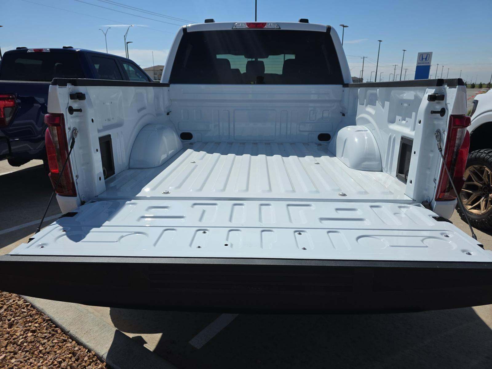 FORD F-150 - 10