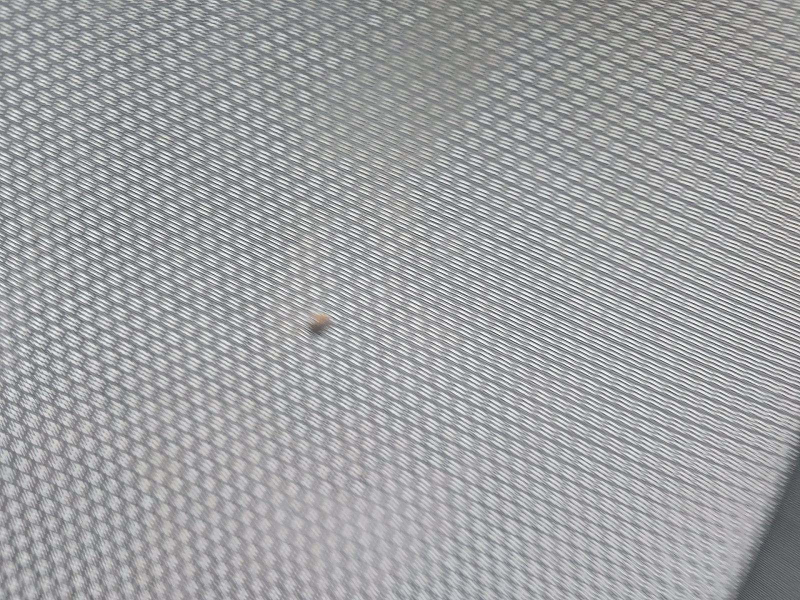 2020 Volkswagen Jetta 1.4T S FWD