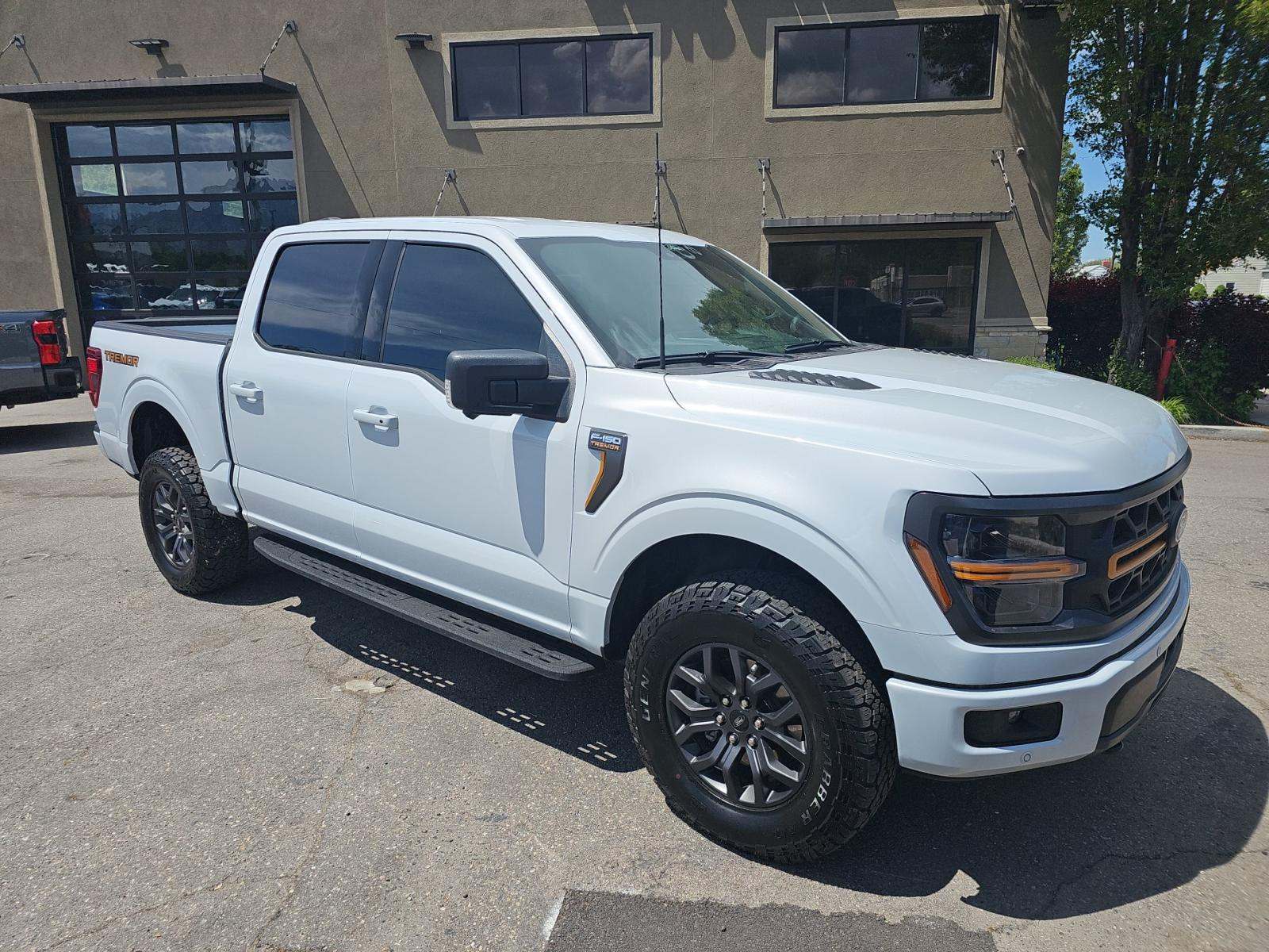 FORD F-150 - 4