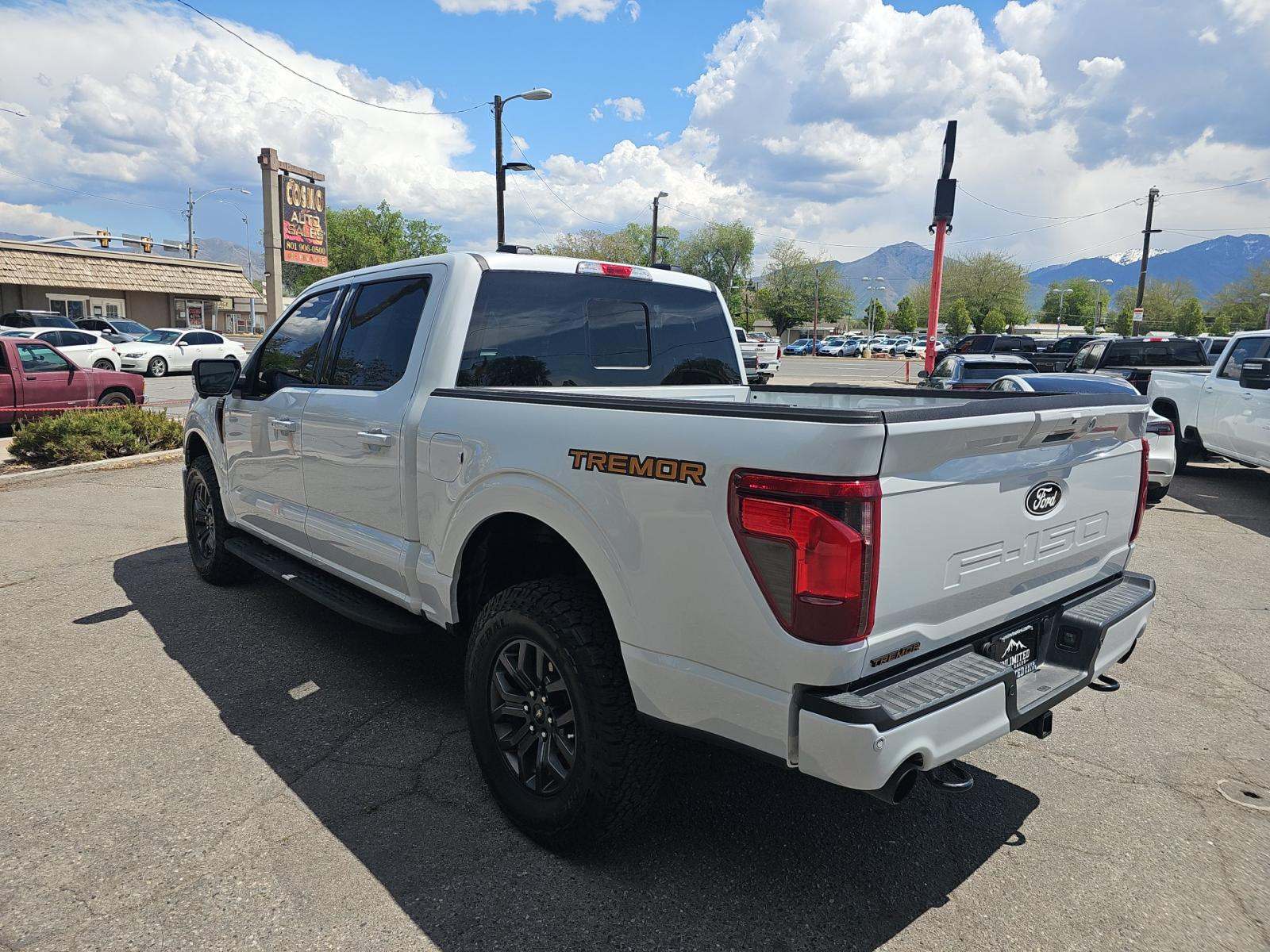 FORD F-150 - 2