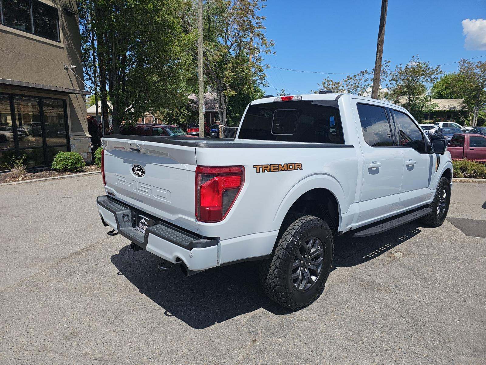 FORD F-150 - 3