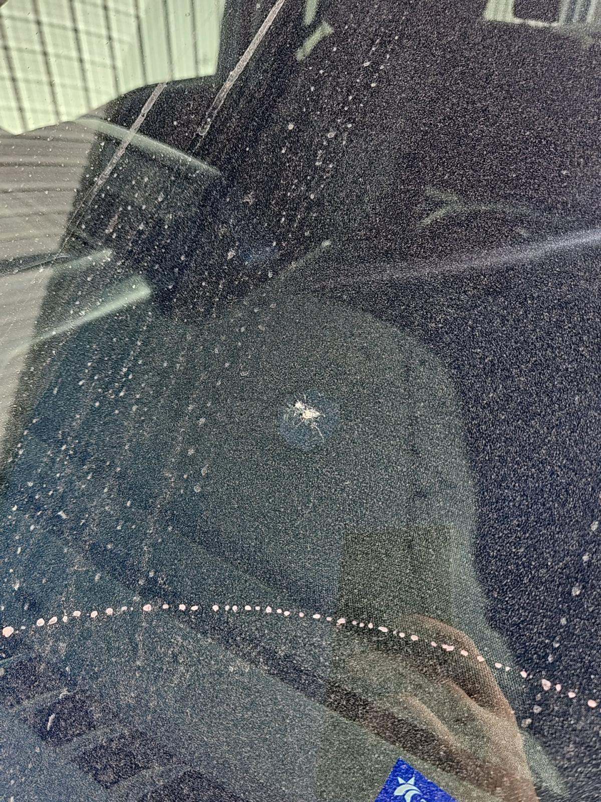 2024 Ford F-150 XLT AWD