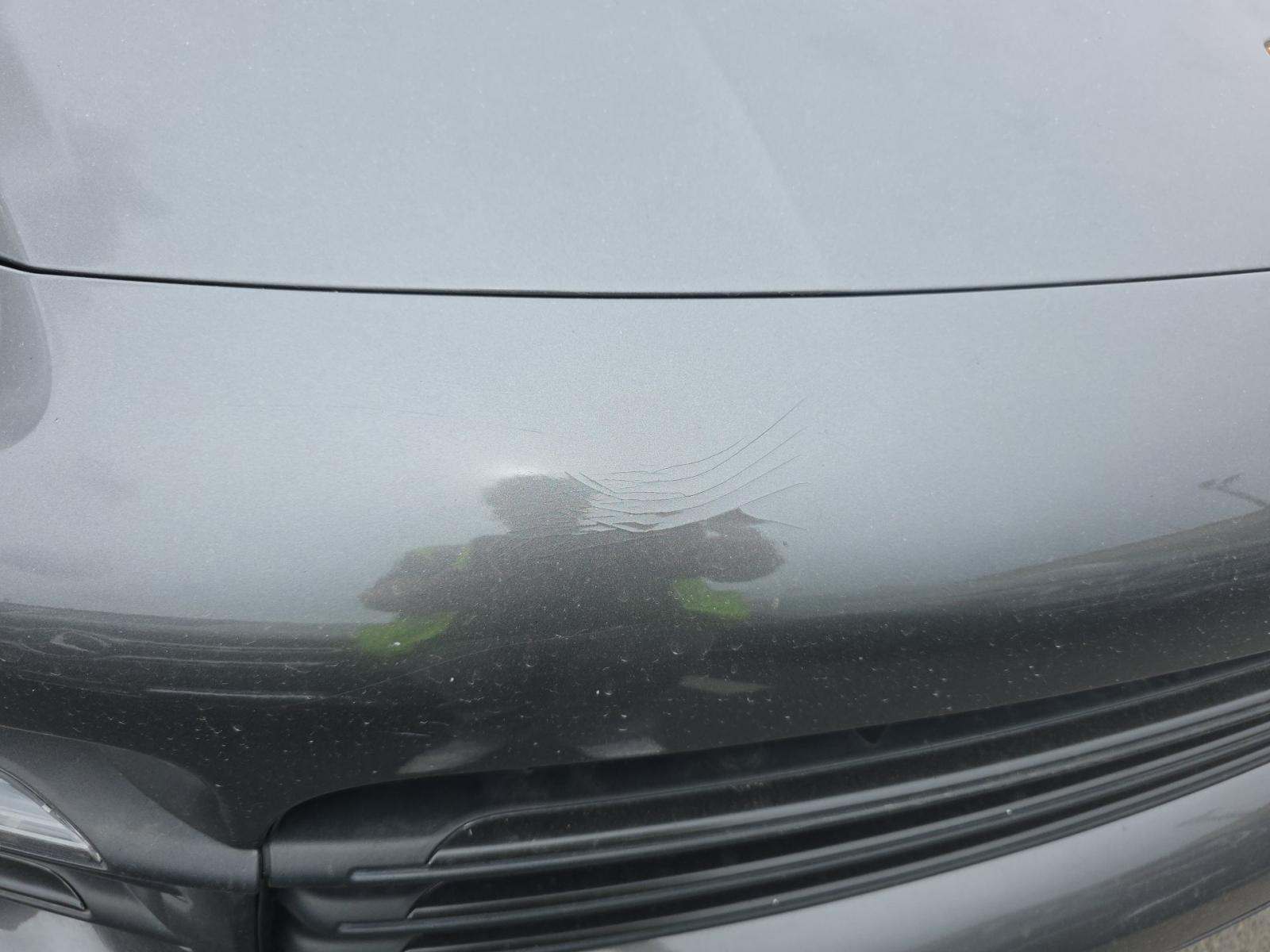 2019 Porsche Cayenne Base AWD