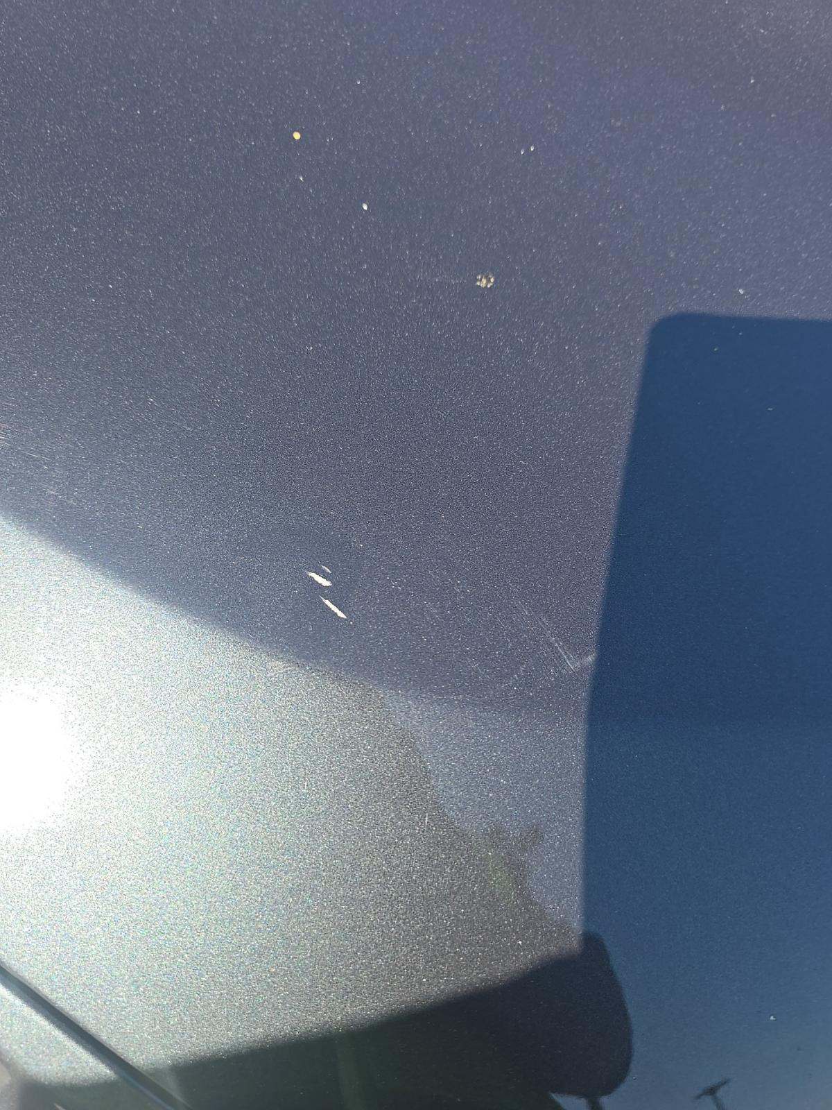 2022 BMW X5 sDrive40i RWD