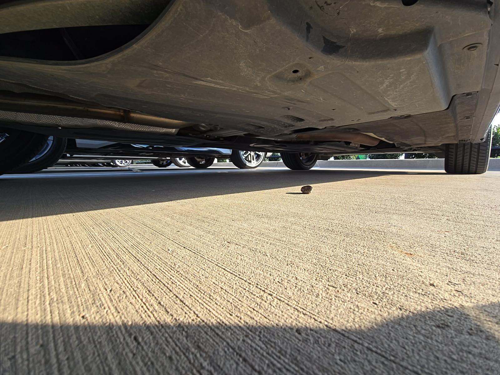 2024 BMW X3 M40i AWD