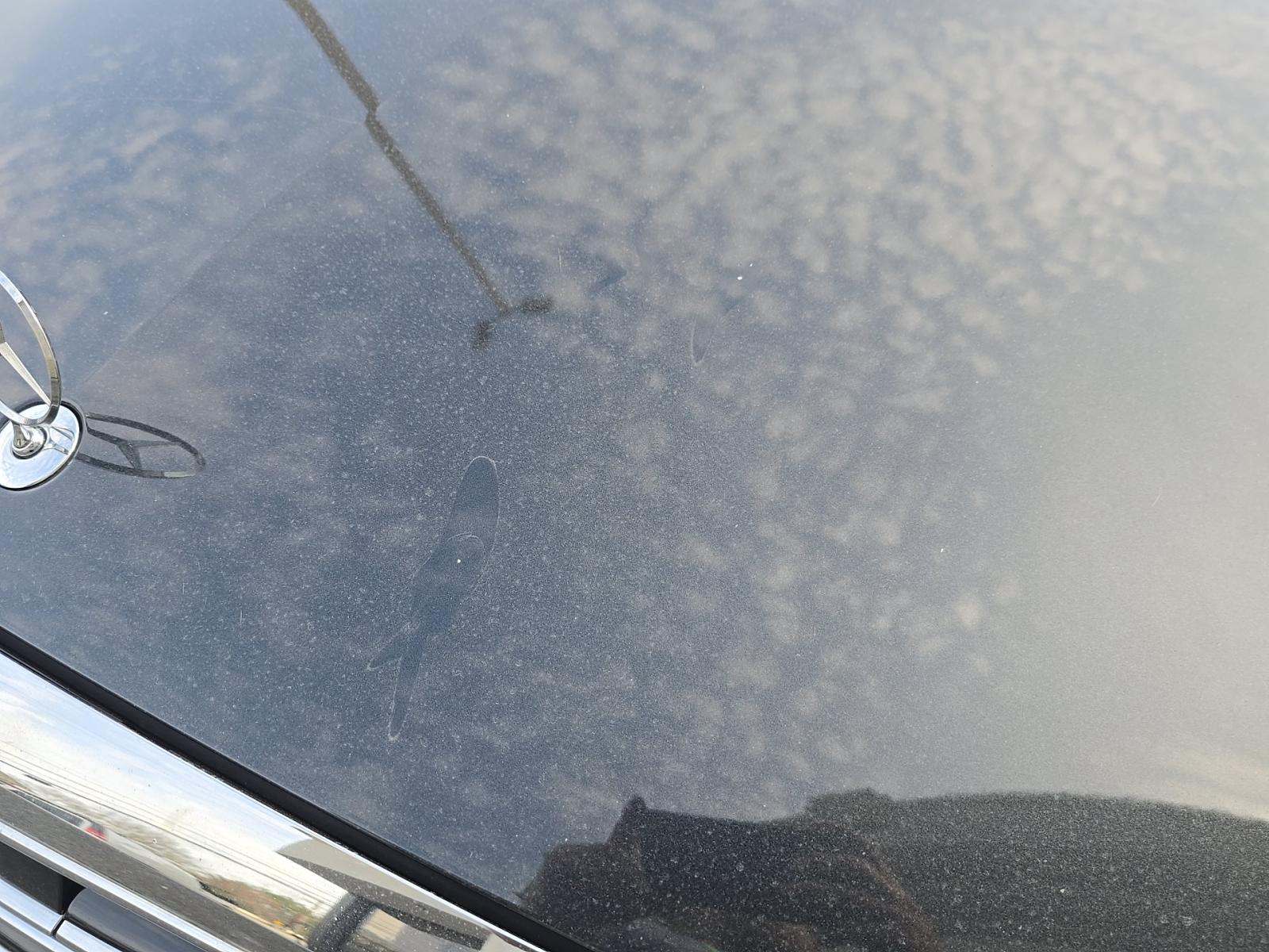 2019 Mercedes-Benz S-Class S 450 RWD