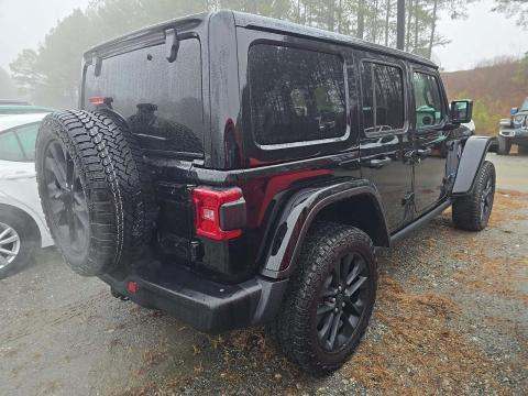 JEEP 4XE BACKCOUNTRY - 3